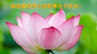 河北法轮功学员恭贺世界法轮大法日暨李洪志大师华诞(27条)