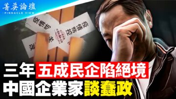 【菁英论坛】三年蠢政 五成民企陷绝境