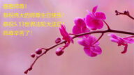 贵州法轮功学员恭贺世界法轮大法日暨李洪志大师华诞(28条)
