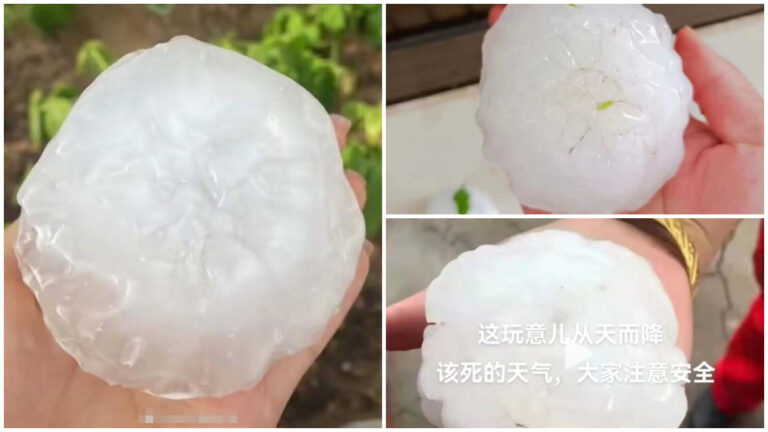 石家莊冰雹大過拳頭 人被砸傷農作物被毀（視頻）