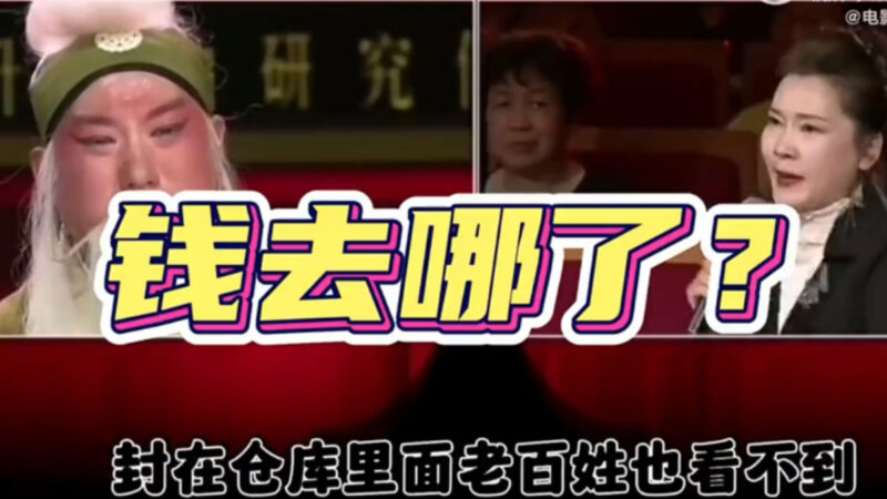 中國知名演員何賽飛怒批戲曲界現狀 視頻熱傳