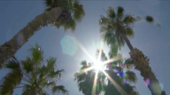 加州今夏或迎高溫 最高溫度超均值50%至60%