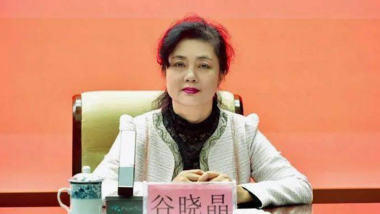 高顏值女貪官頻落馬 海南廣電總經理被「雙開」