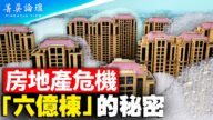 【菁英论坛】房地产局部崩盘 中共无计可施
