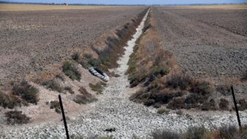 「熱通膨」將來襲？歐洲夏季高溫、缺水引憂