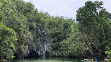 深入黑暗地下河 中山大學團隊發現新物種「無眼魚」