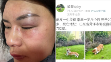 山东男砍死宠物狗威胁妻子：不听话就这样（视频）