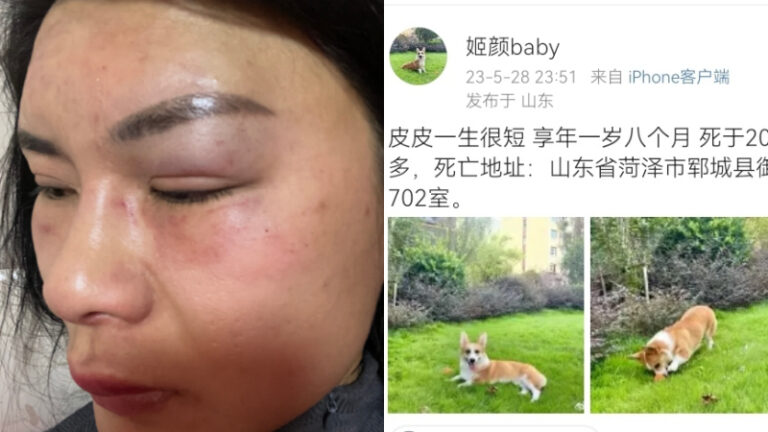 山東男砍死寵物狗威脅妻子：不聽話就這樣（視頻）