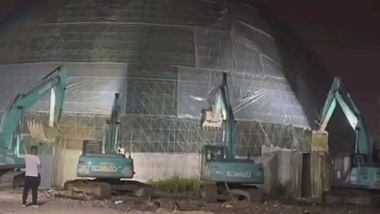 退林還耕？ 合肥動物園突遭暴力強拆