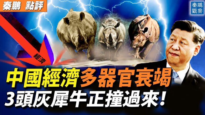 【秦鵬觀察】中國經濟多器官衰竭 3灰犀牛撞來