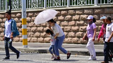 中国多地43度高温 云南用太阳煎熟鸡蛋（视频）