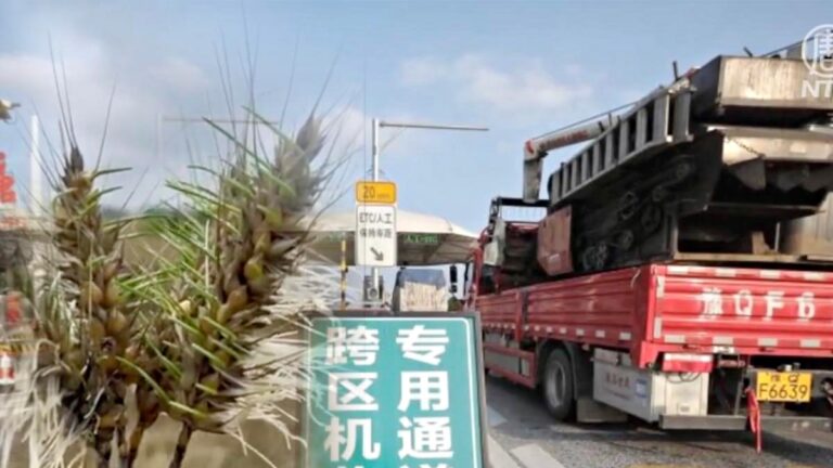 收割機被扣麥子發芽 河南農民虧慘