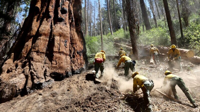 「加州註定要燃燒」 地主學習如何以火防火