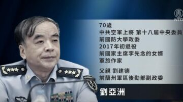 劉亞洲被爆是江澤民軍中聯絡員 入選「龍班」