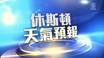 休斯顿一周天气预报（6/4-10）