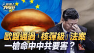 【大視野 冷戰觀察室】歐盟通過「核彈級」法案 一槍命中中共要害？