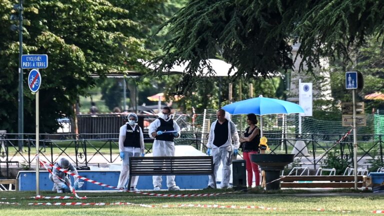 法國公園持刀襲擊案 傷六人含四幼童