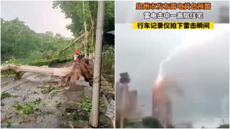 南方多地暴雨 南京狂風拔樹 泉州雷劈高樓(視頻)