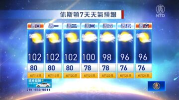 休斯顿一周天气预报