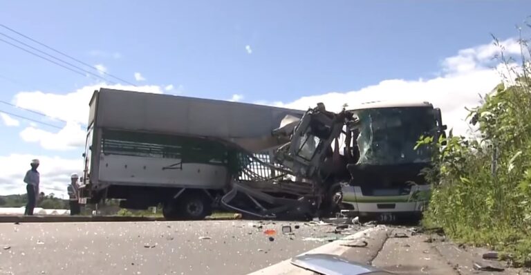 日本北海道運豬車衝撞巴士 豬隻飛出 已知5人死亡