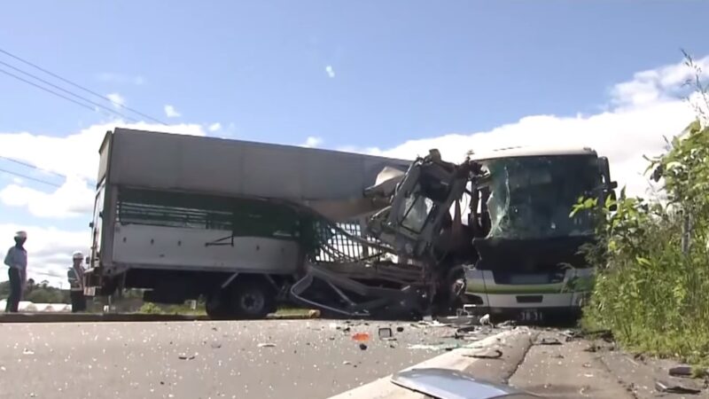 日本北海道运猪车冲撞巴士 猪只飞出 已知5人死亡