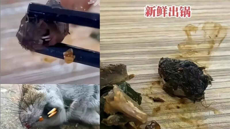 涉“鼠头”食堂承包商被起底 母公司系中国百强餐饮第七名