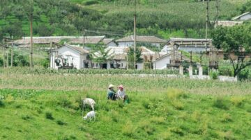 疫情下的朝鮮：糧食價格暴漲 人們被困住等死