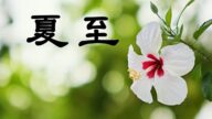 夏至習俗要吃一物 「夏九九歌」流傳千年