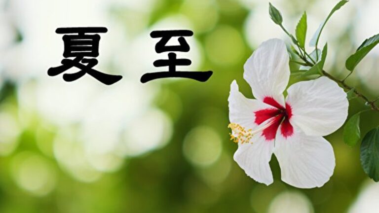 古代不賀夏至 節俗中蘊含什麼深機？
