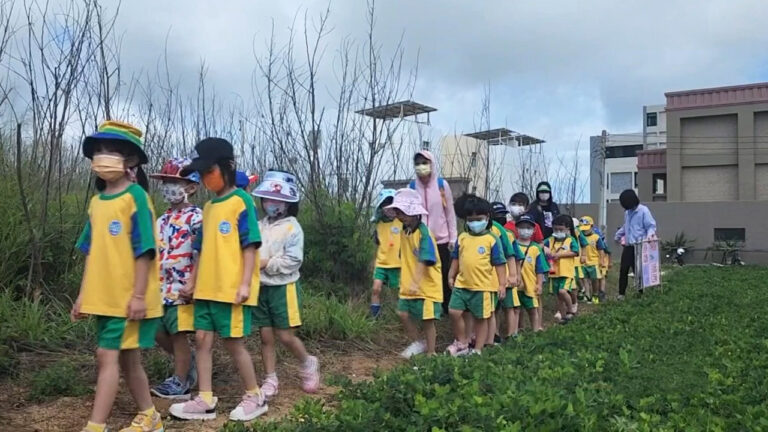 澎湖幼兒園拔花生、抓金龜子 體驗原味夏天