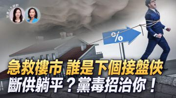【新唐人大視野】急救樓市 誰是下個接盤俠？