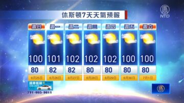 休斯顿一周天气预报