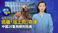 【今日加州】6月27日完整版