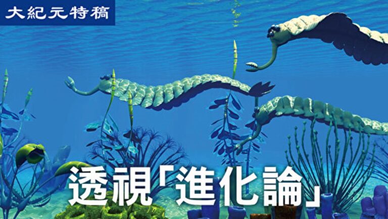 【大紀元特稿】破除進化假說的經典迷思（上）