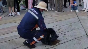 传天安门广场游客大便 升旗现场臭气熏天