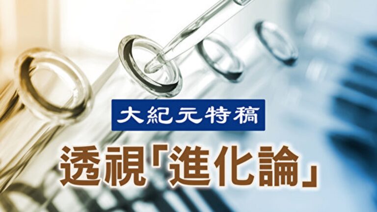 【大紀元特稿】破除進化假說的經典迷思（下）