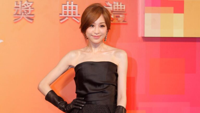 王心凌世界巡演 20周年高規格全新製作