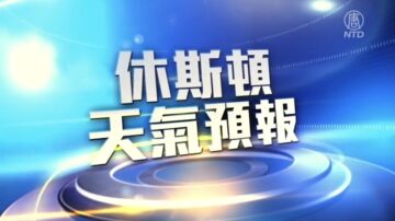 休斯顿一周天气预报