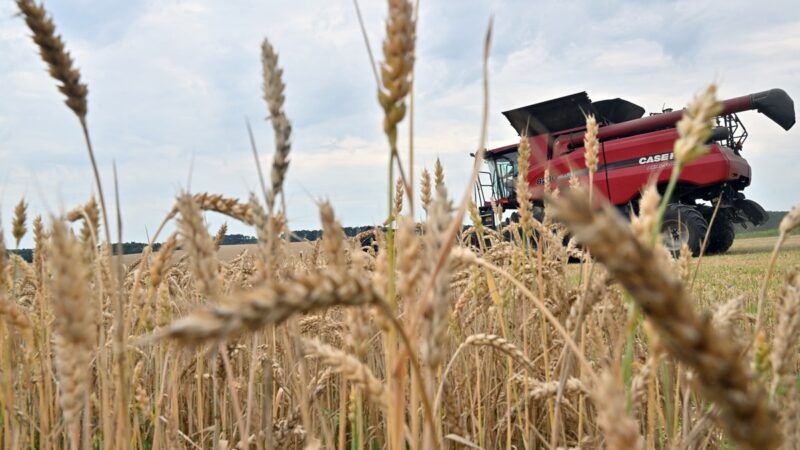 俄國退黑海穀物協議 運往中國6萬噸農產受創