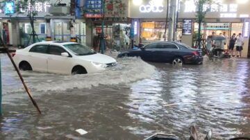 上海暴雨高架桥成“高架河” 开车如开船 （视频）