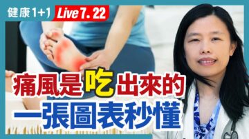 【健康1+1】痛风是吃出来的  一张图表秒懂