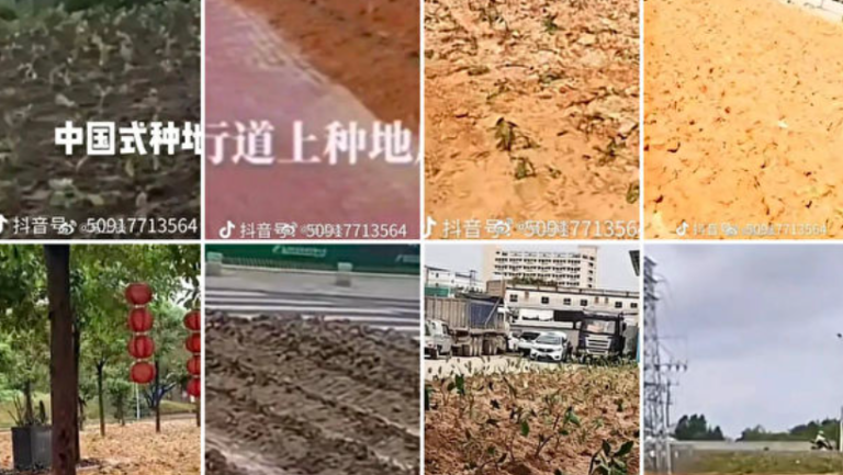 王赫：糧荒陰影不散 中共潰爛到底