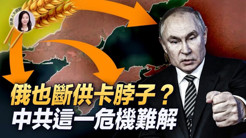 【新唐人大视野】俄罗斯封锁“海上生命线” 最大受害者是谁？