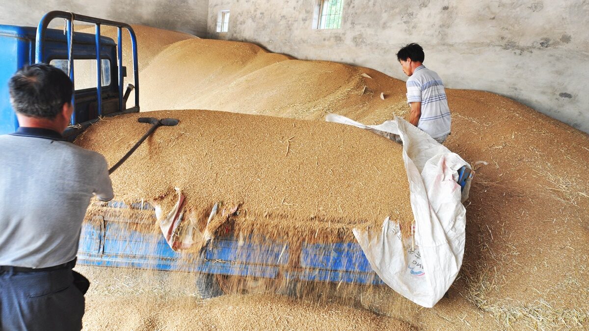 【禁闻】俄退出黑海粮食协议 中共试图两头获利