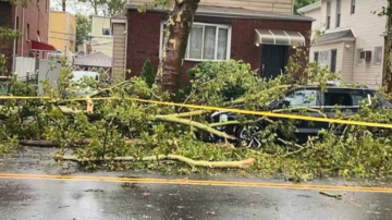 狂风袭纽约 布鲁克林多棵大树拦腰折断 砸损车辆