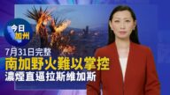【今日加州】7月31日完整版