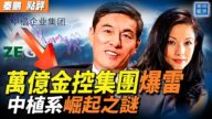 【秦鵬觀察】萬億金控集團爆雷 中植系崛起之謎