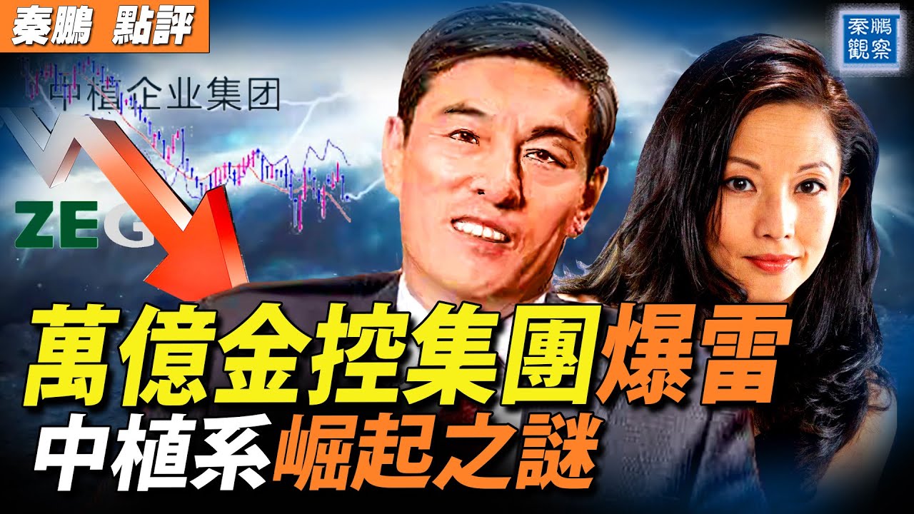 【秦鵬觀察】萬億金控集團爆雷 中植系崛起之謎 | 中植集團 | 中國經濟 | 新唐人中文電視台在線