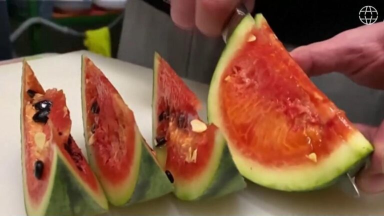 零下89度種西瓜 味甜果香不外賣