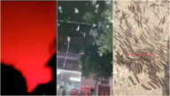平原地震異象：紅光 燕子亂飛 蟲子滿地爬 （視頻）